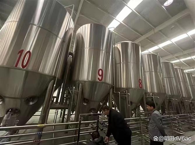 精酿啤酒设备型号全解析 工厂型设备选型指南与北京投资顾问建议